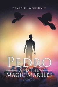bokomslag Pedro And The Magic Marbles
