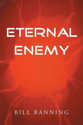 bokomslag Eternal Enemy