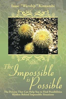 The Impossible Is Possible 1