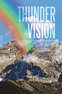 bokomslag Thunder Vision