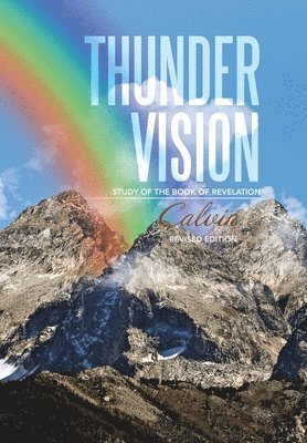 bokomslag Thunder Vision