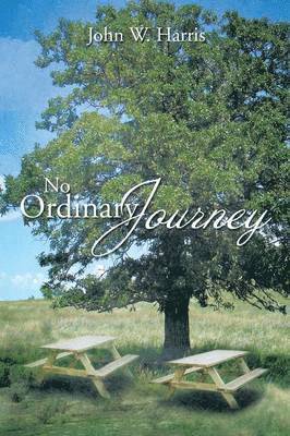 John W Harris - No Ordinary Journey, Häftad