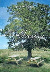 bokomslag No Ordinary Journey