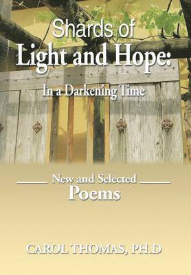 Shards of Light and Hope 1