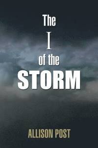 bokomslag The I of the Storm