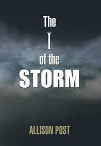 bokomslag The I of the Storm