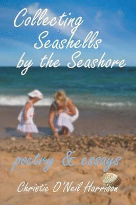 Collecting Seashells by the Seashore 1