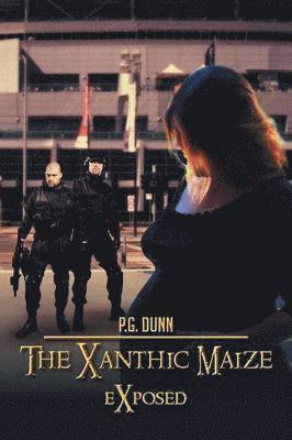 The Xanthic Maize 1