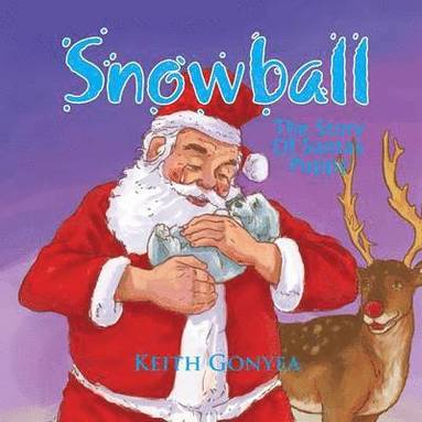 bokomslag Snowball