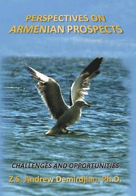 bokomslag Perspectives on Armenian Prospects