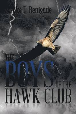 bokomslag The Boys of the Hawk Club