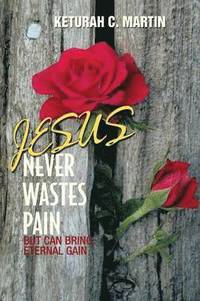 bokomslag Jesus Never Wastes Pain