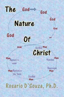 bokomslag The Nature of Christ