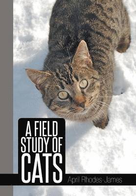 A Field Study of Cats 1