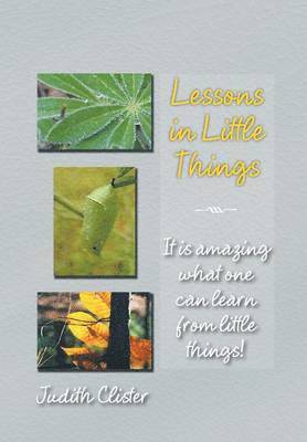 Lessons in Little Things 1