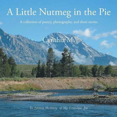 Cynthia Burgess - Little Nutmeg in the Pie, Häftad