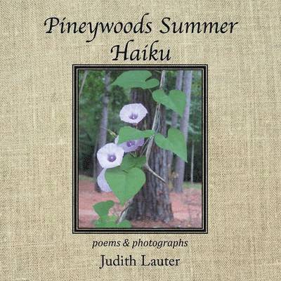 Pineywoods Summer Haiku 1