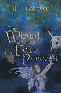 bokomslag Wizard and the Fairy Princess