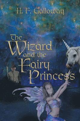 bokomslag Wizard and the Fairy Princess