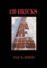 bokomslag 120 Bricks