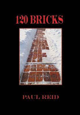 120 Bricks 1