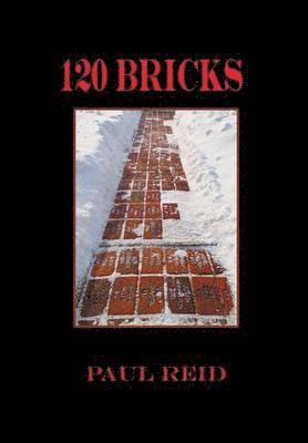 Paul Reid - 120 Bricks, Inbunden