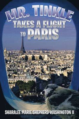 Mr. Tinkle Takes a Flight to Paris 1