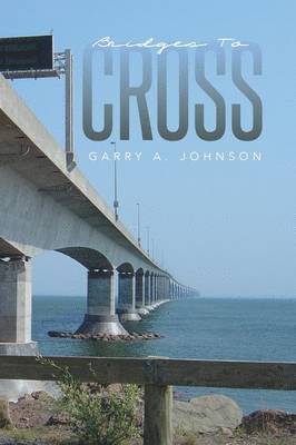 bokomslag Bridges to Cross