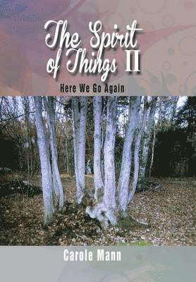 bokomslag Spirit of Things II