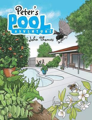 Peter's Pool Adventure 1