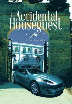 The Accidental Houseguest 1