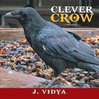 bokomslag Clever Crow