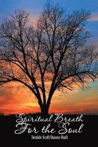 bokomslag Spiritual Breath for the Soul