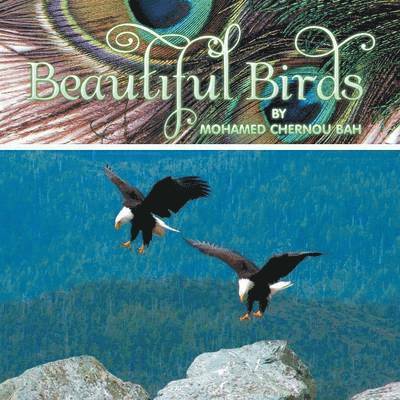 Mohamed Chernou Bah - Beautiful Birds, Häftad