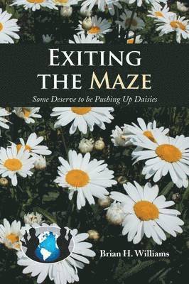 Exiting the Maze 1