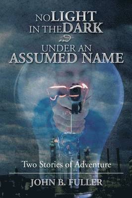 John B Fuller, John B. Fuller - No Light in the Dark and Under an Assumed Name, Häftad