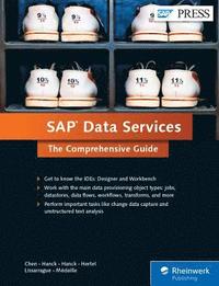 bokomslag SAP Data Services