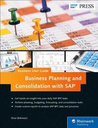 bokomslag Business Planning and Consolidation with SAP: Business User Guide