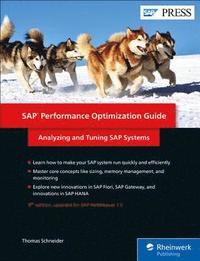 bokomslag SAP Performance Optimization Guide