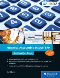 bokomslag Financial Accounting in SAP ERP