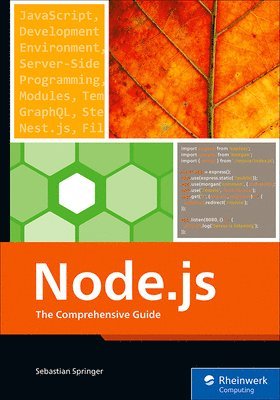 Sebastian Springer - Node.js, Häftad