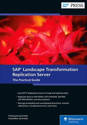 SAP Landscape Transformation Replication Server 1