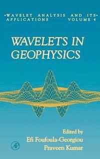 bokomslag Wavelets in Geophysics