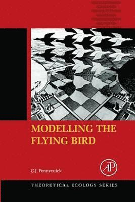Modelling the Flying Bird