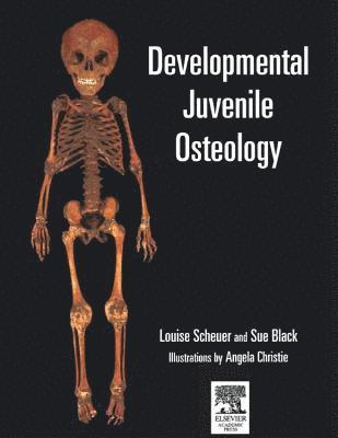 Craig Cunningham, Louise Scheuer, Sue Black - Developmental Juvenile Osteology, Häftad
