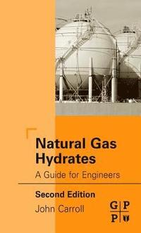 bokomslag Natural Gas Hydrates