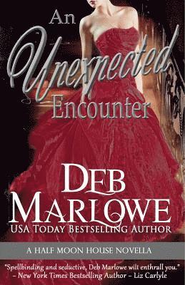 bokomslag An Unexpected Encounter: Half Moon House Novella 1