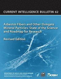 bokomslag Asbestos Fibers and Other Elongate Mineral Particles: State of the Science and Roadmap for Research: Current Intelligence Bulletin 62