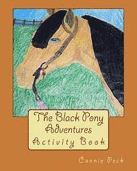 bokomslag The Black Pony Adventures Activity Book