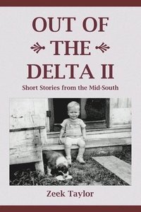 bokomslag Out of the Delta II: Short Stories from the Mid-South